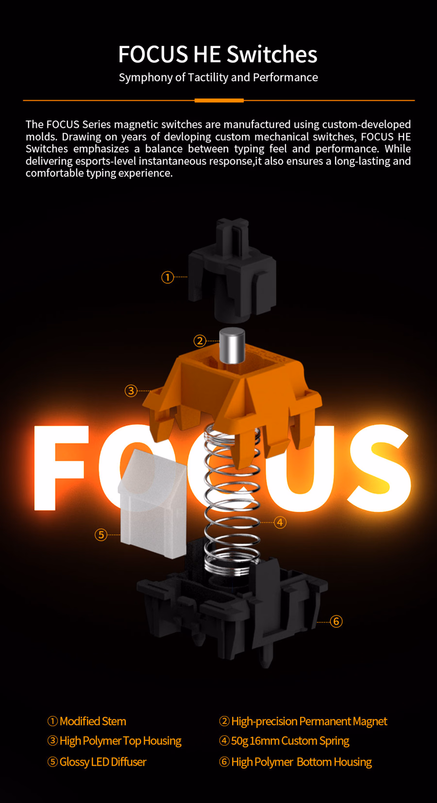 Designer Studio x ESPTiger FOCUS 4