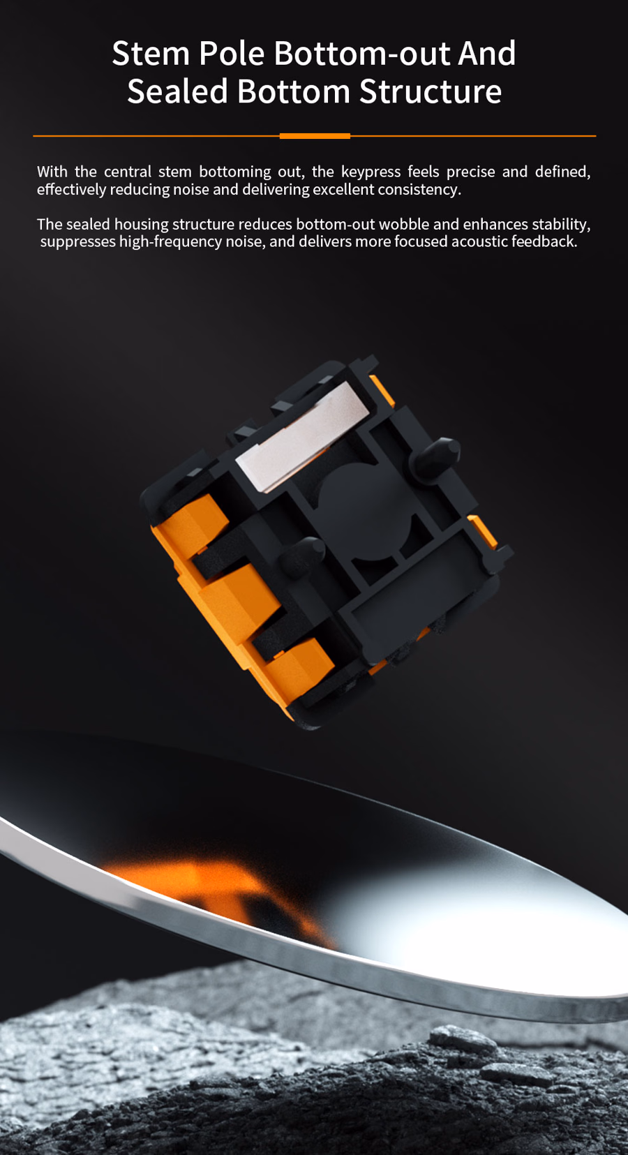 Designer Studio x ESPTiger FOCUS 5